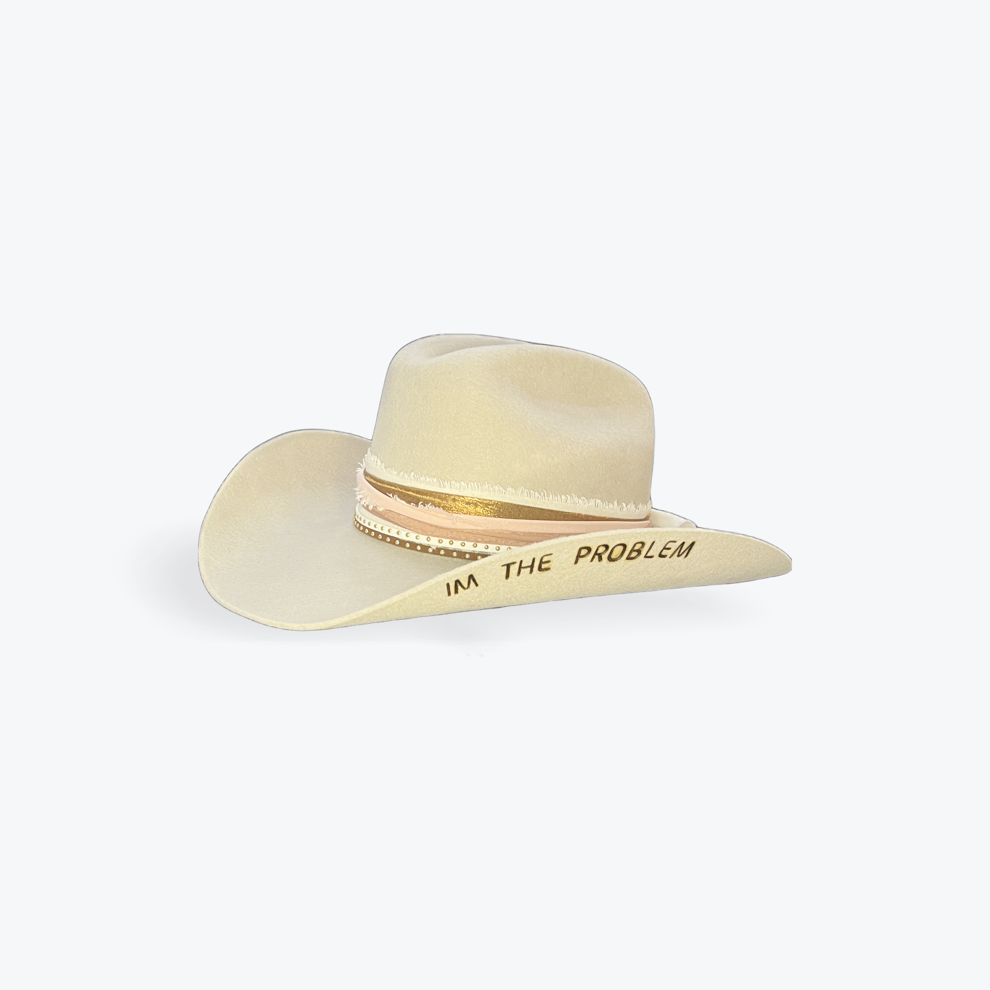 I'm The Problem