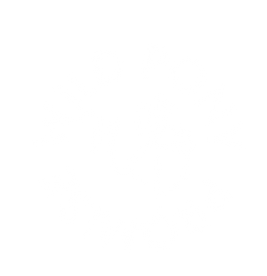 Wild Pony Hat Bar logo